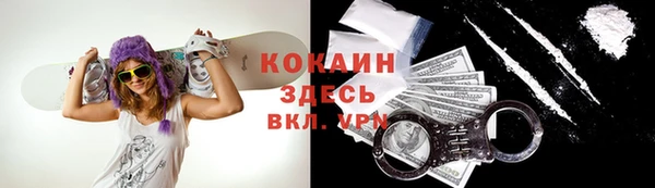 шишки Балабаново