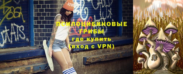 шишки Балабаново