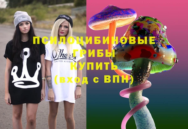 шишки Балабаново