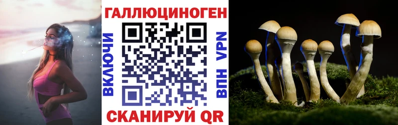 Псилоцибиновые грибы MAGIC MUSHROOMS  Сысерть 